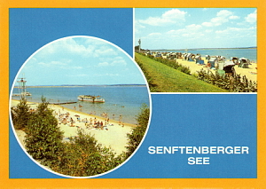 Senftenberg